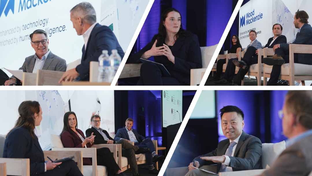 SESS25 photo collage for web.png