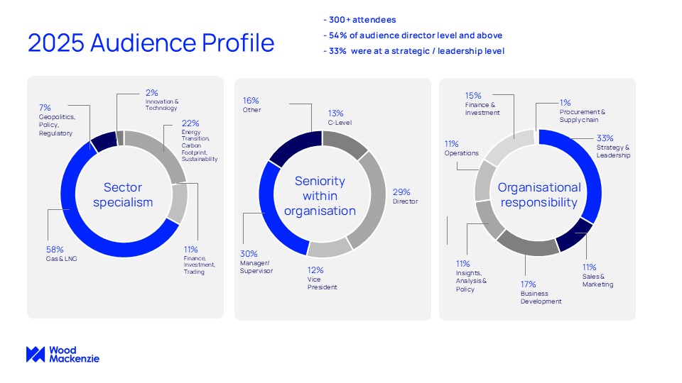 Gas, LNG & The Future of Energy 2025 Audience profile